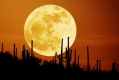 Явлението "Супер Луна" ще наблюдаваме на 19 март