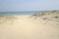 Пясъчните дюни отново ще са част от плажовете
