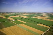 Гаранционен фонд ще спасява земеделските европари от загуба