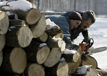 Найденов отстъпи от спорни законови промени, свързани с дърводобива