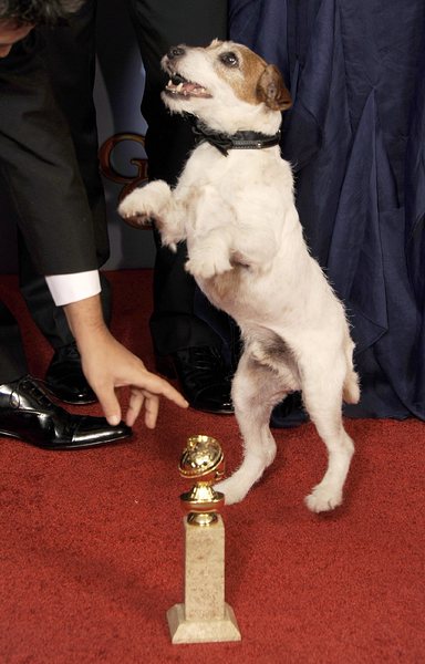 Кучето Уги стана звезда с "Артистът", който вече обра най-престижните кинонагради в очакване на Оскарите