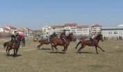 Традиционни конни кушии за Тодоровден