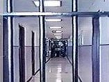 Хамстера и ″няколко лица” може би са лидерите на ″Наглите″