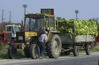Брюксел оряза със 100 млн. лв. гаранционния фонд за земеделие