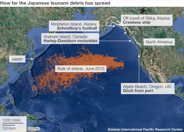 Отнесен от цунамито в Япония плаващ док достигна бреговете на САЩ
