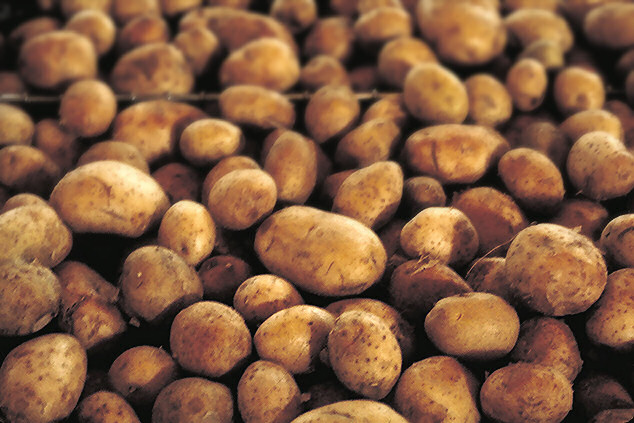 Открит е рак по картофите в три смолянски села