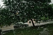 Летни бури връхлетяха Търговище, Сливен, Благоевград и Пловдив