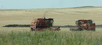 България с най-много докладвани измами по земеделските фондове
