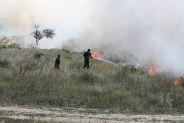 Пожар на над 1000 декара в община Белица