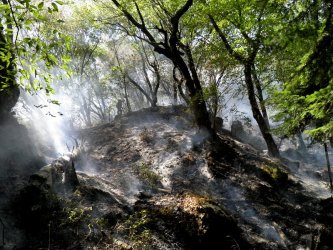 Огънят в резервата "Соколна" бе овладян. Сн: БГНЕС