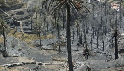Икономическата криза пречи на Испания да се справи с горските пожари