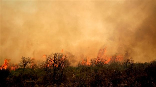 Пожар бушува в Света Гора, евакуират Уранополи