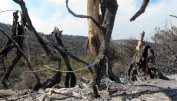 Пожарът на гръцкия о-в Хиос придобива катастрофални размери