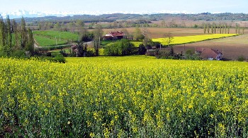 Агроведомството с план за спасяване на близо 400 млн. евро за селските райони