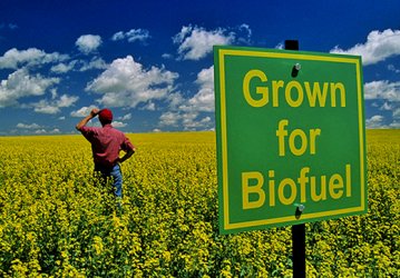 Брюксел преразглежда преференциите за биогоривата