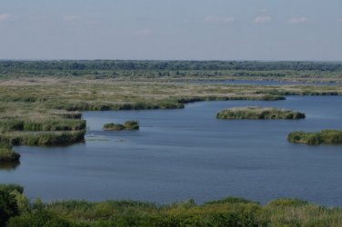 България и Румъния може заедно да опазват влажните крайдунавски зони