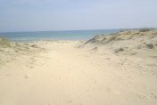 Кметът и архитектът на Несебър обвинени за нарушения при сделката с дюните