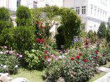 Съдът разпореди да се махне незаконна бариера в Ботаническата градина в Балчик