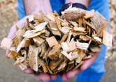 Проекти за енергия от биомаса получиха близо 13 млн. лв. евросубсидии