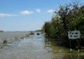 Нивото на Дунав се покачва рисково при Видин