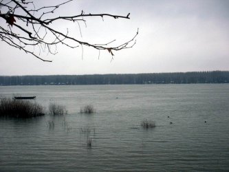 Продължаващото покачване на нивото на Дунав предизвика тревога в Лом