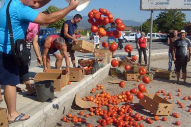 Тонове домати заляха пътя край Ново село, сн. БГНЕС