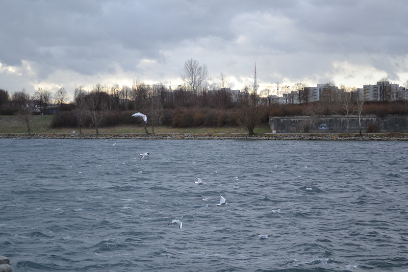 Свободни от ВЕЦ зони по Дунав иска международната комисия за опазване на реката