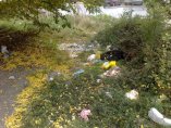 Паркове и градини в София потънаха в боклуци след търг за един кандидат