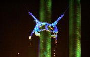 Акробатка от "Сирк дю солей" падна и загина по време на представление в Лас Вегас