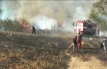 Големият горски пожар в Хасковско е потушен