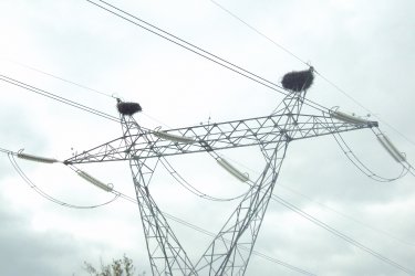 Окончателните цени на тока от август са приети, но още не са обявени