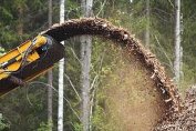 Преференции за тока от биомаса вече само при ползване на отпадна дървесина