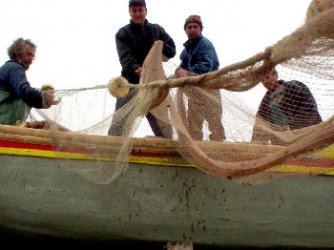 България може да загуби още 22 млн. лв. по програма "Рибарство"