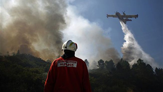 Португалия продължава да е обхваната от горски пожари