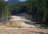 Експертиза на териториалния план на ски зона Банско ще търси решение за концесията