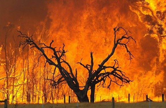 Бедствено положение и човешка жертва заради пожарите в Източна Австралия
