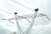 Ограничен достъп на вятърна централа донесе нова глоба над 1 млн. лв. за "Енерго-Про"