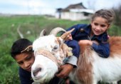 "Дейли мейл": След 1 януари ще останат само козите в румънските села