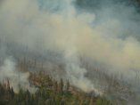 Пожар гори в местността "Танчовица" на Витоша