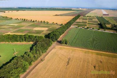 Отменя се мораториумът за продажба на земя за чужденци