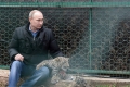 Путин в прегръдките на леопард