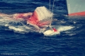 Съдът в Хага нареди на Япония да спре временно лова на китове с "научна цел"