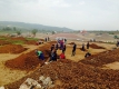 Строителите не могат да работят по "Струма" заради археологически разкопки