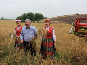 Греков очаква рекордна реколта от около 5 млн. т пшеница