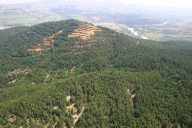 Находището край Крумовград