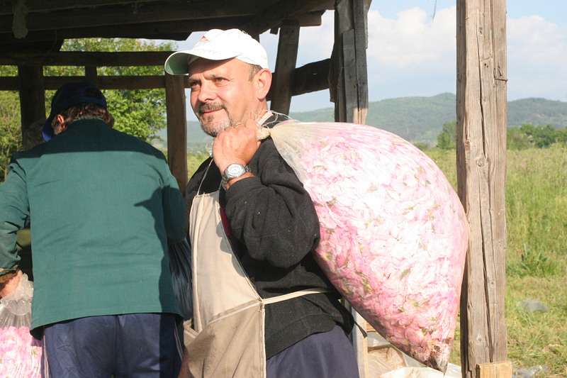 Българско розово масло стана защитен продукт