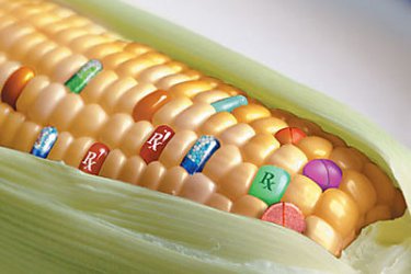 Страните в ЕС ще решават сами дали да забраняват ГМО