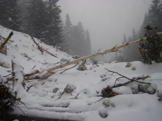 Драмата със загубилите се в Рила завърши благополучно