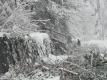 Над 200 000 българи все още бедстват заради снега