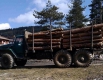 Търговци на дървесина излизат на протест срещу забраната за износ
